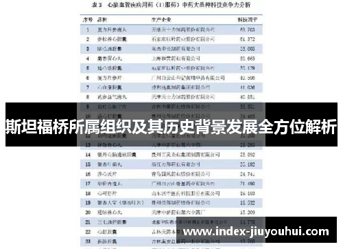 斯坦福桥所属组织及其历史背景发展全方位解析