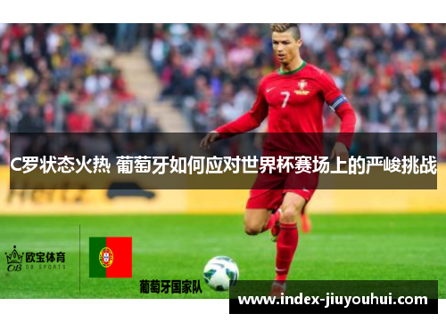 C罗状态火热 葡萄牙如何应对世界杯赛场上的严峻挑战