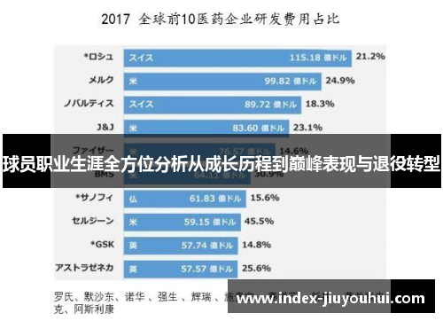 球员职业生涯全方位分析从成长历程到巅峰表现与退役转型