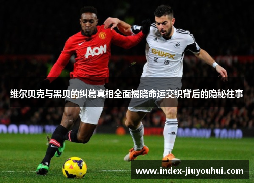 维尔贝克与黑贝的纠葛真相全面揭晓命运交织背后的隐秘往事 维尔贝克与黑贝的纠葛真相全面揭晓命运交织背后的隐秘往事