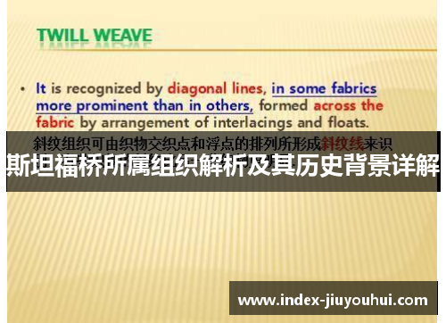 斯坦福桥所属组织解析及其历史背景详解