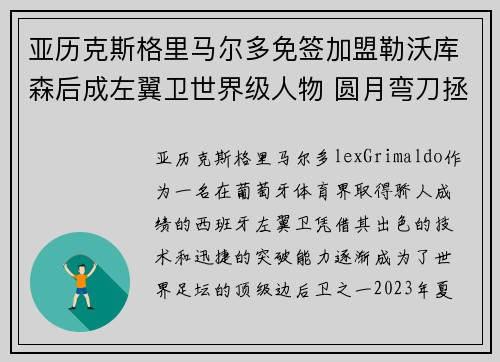 亚历克斯格里马尔多免签加盟勒沃库森后成左翼卫世界级人物 圆月弯刀拯救球队
